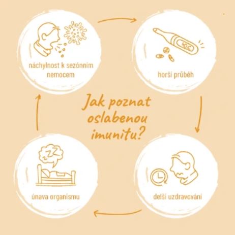 Výstřižek Jak poznat oslabenou imunitu